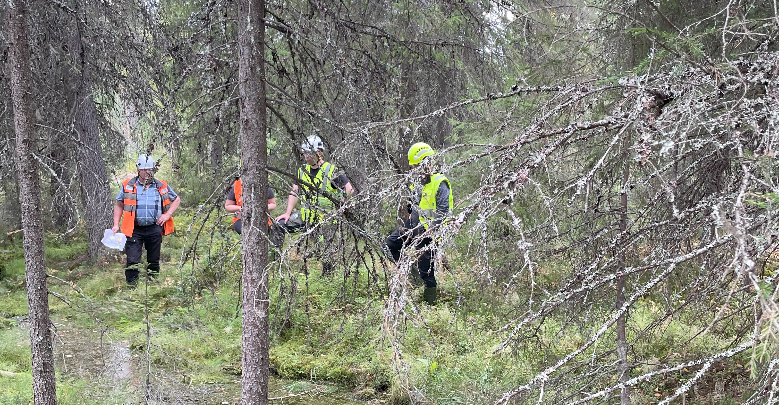 Pohjoisen PEFC-ryhmäsertifiointialueen auditointitulokset